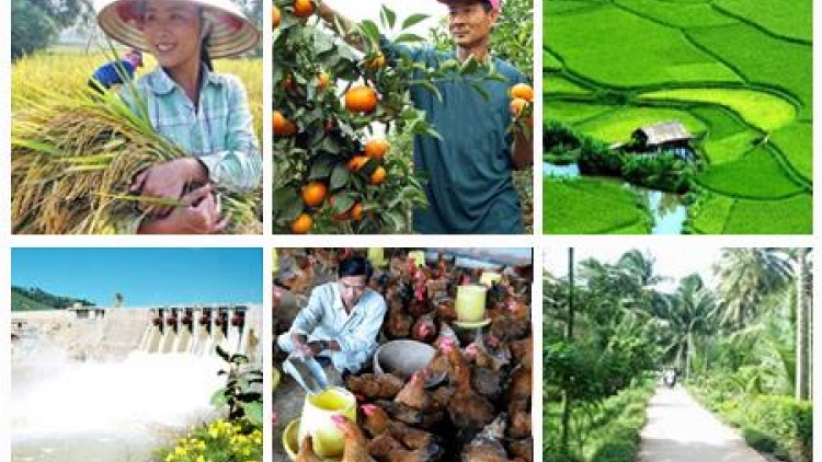 Thu hút doanh nghiệp trong xây dựng nông thôn mới (08/11/2016)