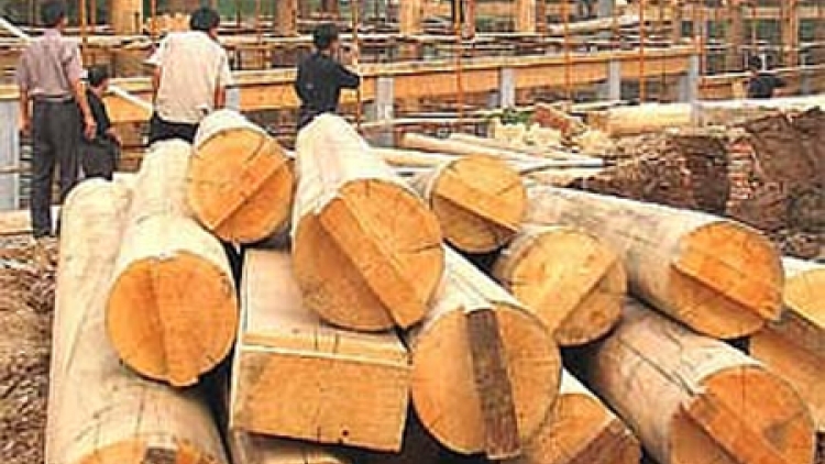 Phát triển thị trường gỗ và sản phẩm gỗ (25/12/2016)