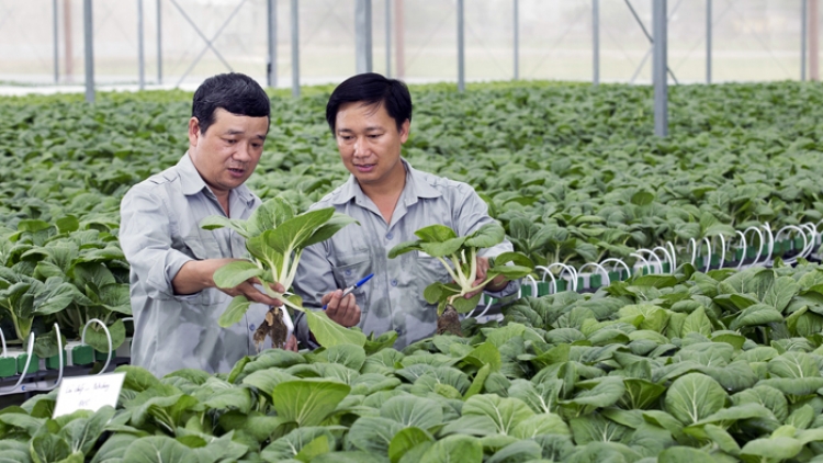 Tín dụng cho nông nghiệp sạch - hướng đi bền vững (21/12/2016)