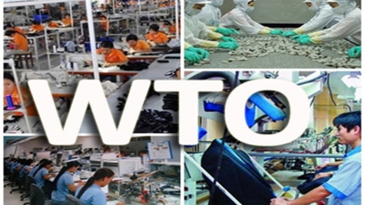 Việt Nam sau 10 năm gia nhập WTO: Được và mất (21/12/2016)