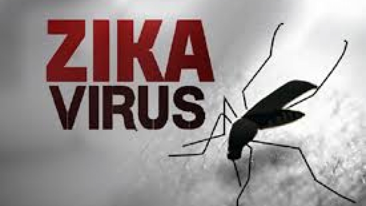 Bảo vệ môi trường sống để phòng chống dịch bệnh do virut zika (14/12/2016)