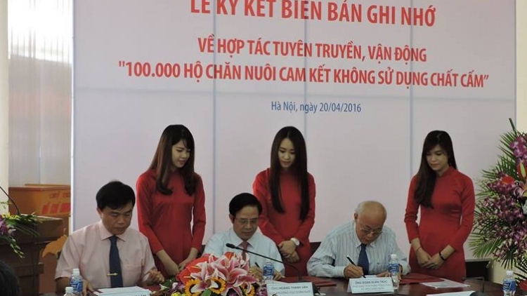 Vận động 100.000 hộ chăn nuôi không sử dụng chất cấm (21/4/2016)