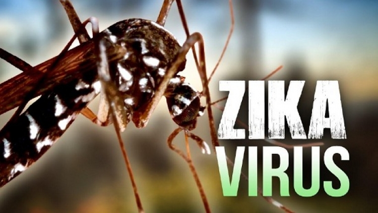Bộ Y tế chính thức công bố hết dịch bệnh do virus Zika trên quy mô xã, phường tại thành phố Hồ Chí Minh và tỉnh Khánh Hoà (Thời sự trưa 26/4/2016)