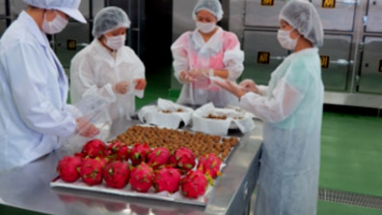 Ứng dụng khoa học công nghệ trong công nghệ bảo quản sau thu hoạch để nâng cao giá trị hàng nông sản xuất khẩu (27/5/2016)