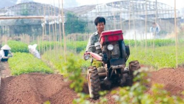 Người dân xã Phương Canh, quận Nam Từ Liêm, Hà Nội làm theo lời Bác dạy (19/5/2016)