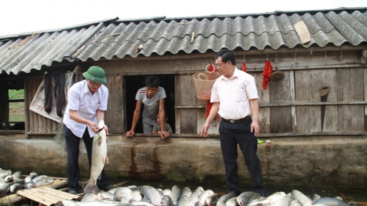 Huyện Thạch Thành, tỉnh Thanh Hóa bàn hướng hỗ trợ cho người nuôi cá lồng bè trên sông Bưởi. (11/5/2016)