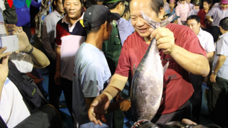 Các địa phương bắt đầu triển khai thu mua cá cho ngư dân miền Trung. Bộ Công thương thành lập đường dây nóng để tiếp nhận thông tin và hỗ trợ ngư dân trong việc thu mua, tiêu thụ thủy hải sản nuôi trồng và đánh bắt bảo đảm an toàn (Thời sự trưa 01/5/2016)