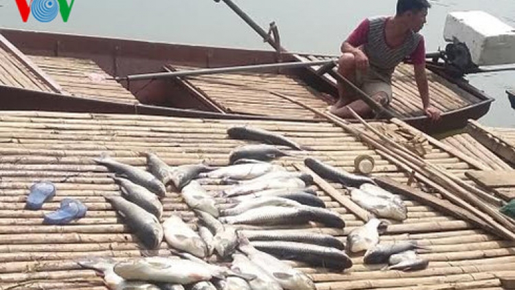Tổng cục Thủy sản cùng khắc phục hậu quả và tư vấn cho bà con nuôi trồng thủy sản trong vụ cá chết hàng loạt trên sông Bưởi, Thanh Hóa (12/5/2016)