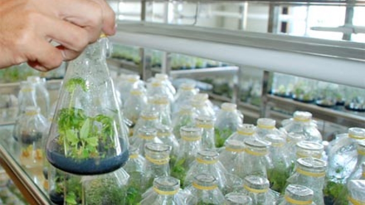 Thúc đẩy khoa học và công nghệ để có thực phẩm an toàn. (25/5/2016)
