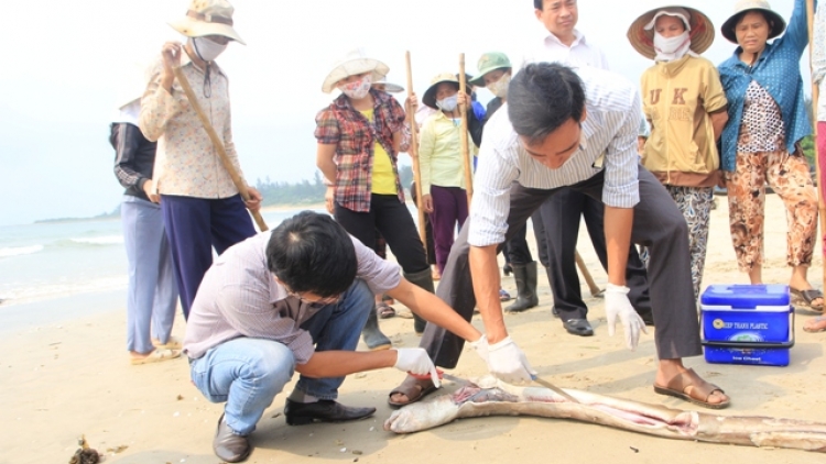 Bộ Khoa học và Công nghệ khẳng định đã có đủ căn cứ khoa học thuyết phục về nguyên nhân cá chết và kết luận cuối cùng sẽ sớm được công bố. (Thời sự đêm 14/5/2016)