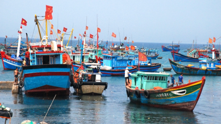Phát triển kinh tế ven biển phải gắn với đảm bảo môi trường. (30/5/2016)