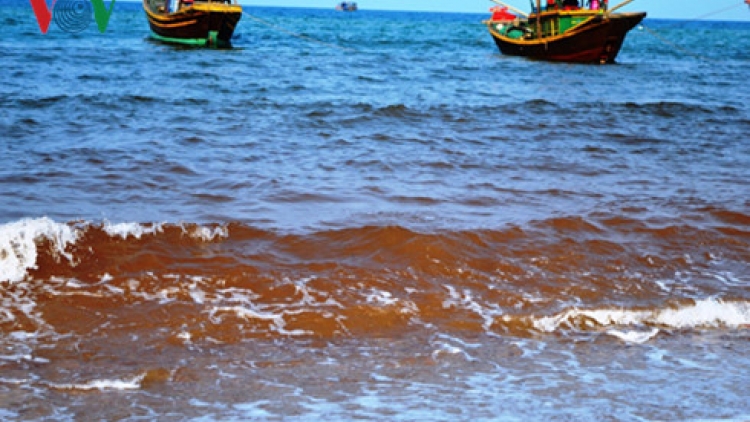 Nước biển chuyển màu đỏ ở Quảng Bình: có phải do thủy triều đỏ? (6/5/2016)