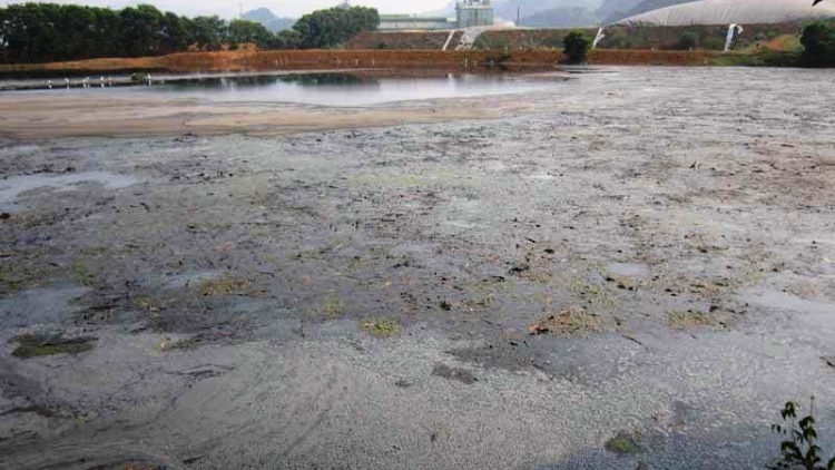 Công ty mía đường xả thải trực tiếp ra sông Bưởi hàng tháng trời mà không bị phát hiện - Có hay không sự buông lỏng quản lý của chính quyền địa phương? (9/5/2016)