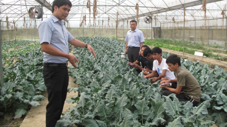 Chuỗi sản xuất rau an toàn - giải pháp đảm bảo vệ sinh an toàn thực phẩm. (04/6/2016)