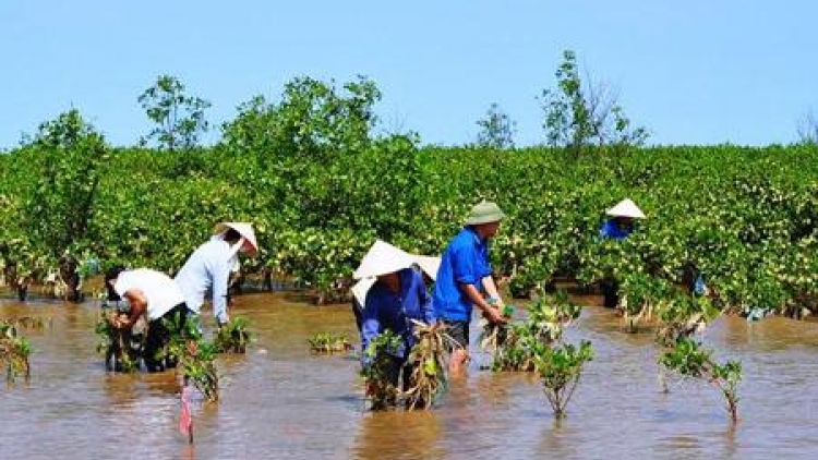 Ứng phó với biến đổi khí hậu ở đồng bằng sông Cửu Long, cần lồng ghép giới trong các hoạt động (7/6/2016)