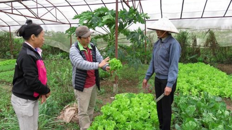 Nông nghiệp hữu cơ: Khó khăn trong kết nối người sản xuất (1/6/2016)
