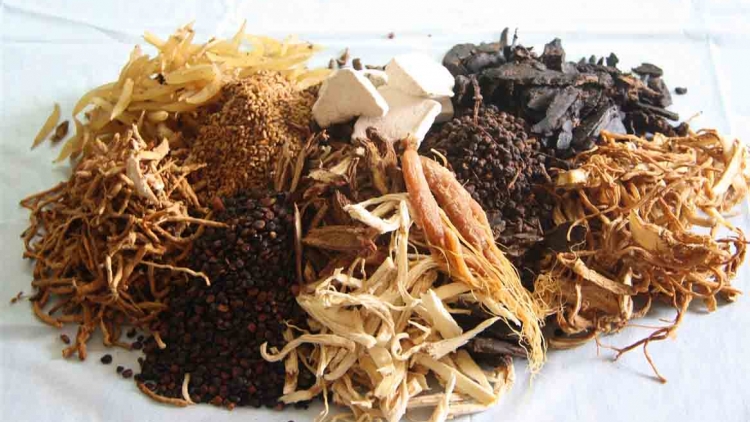 Phòng và hỗ trợ điều trị một số bệnh thường gặp bằng thuốc nam. (5/7/2016)