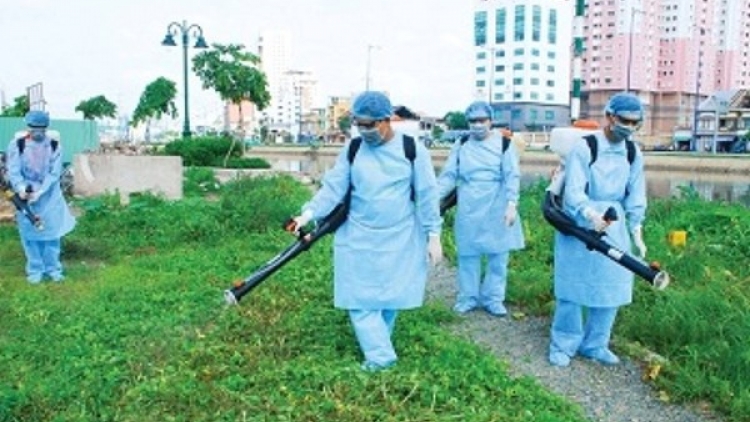 Bộ Y tế khuyến cáo cần chủ động phòng, chống bệnh sốt xuất huyết trong mùa mưa. (Thời sự đêm 08/7/2016)