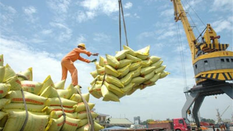 Xuất khẩu gạo của nước ta ở mức thấp nhấp trong vòng 8 năm qua. (Thời sự trưa 20/7/2016)