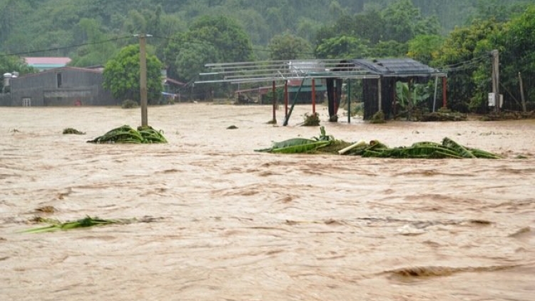 Lũ quét tại Lào Cai khiến 11 người chết và mất tích, trong đó có 8 trẻ em (Thời sự trưa 5/8/2016)