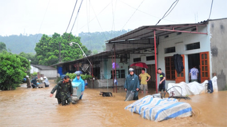 Ngành nông nghiệp các địa phương phía Bắc tiếp tục công tác khắc phục hậu quả mưa lũ (21/8/2016)
