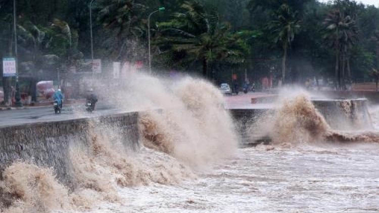 Cần chủ động trong việc dự báo, phòng chống bão (10/8/2016)