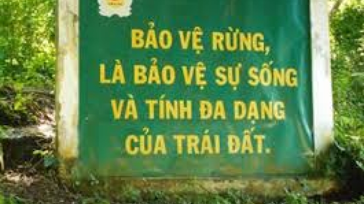 Xung đột quyền sử dụng đất lâm nghiệp – điểm nghẽn trong bảo vệ rừng. (03/8/2016)