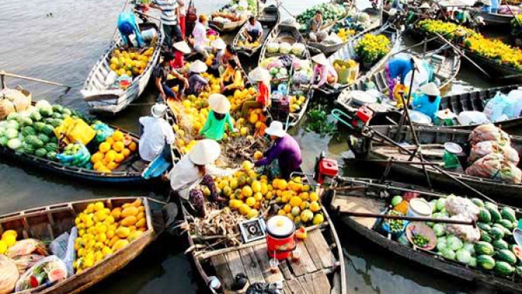 Sản xuất trái cây vùng Đồng bằng sông Cửu Long: Liên kết để tăng giá trị (25/8/2016)