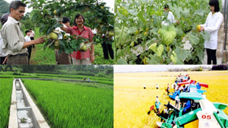 Xây dựng nông thôn mới phải vì người dân (25/8/2016)