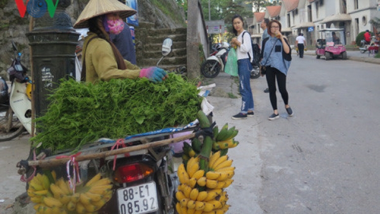 Bảo hiểm xã hội tự nguyện: Nhà nước khuyến khích, lao động thờ ơ (16/8/2016)