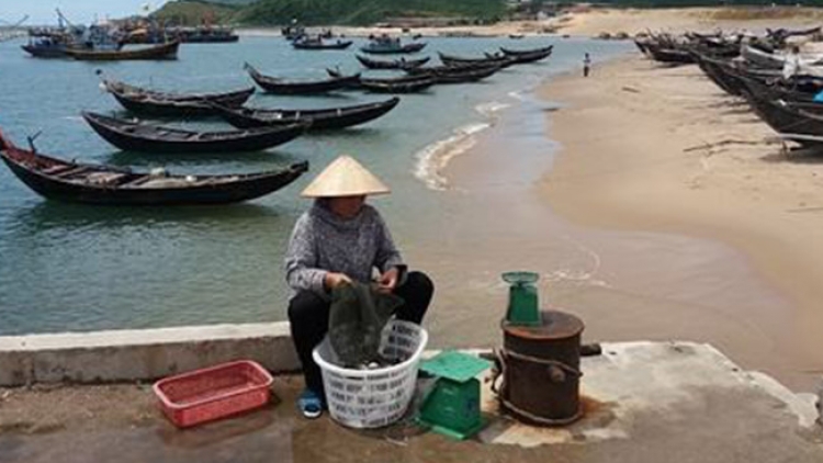 Bồi thường, hỗ trợ thiệt hại sau sự cố Formosa (1/9/2016)