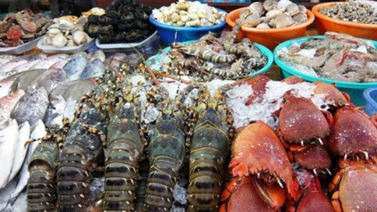 Người dân không sử dụng hải sản tầng đáy trong vòng 20 hải lý tại vùng biển 4 tỉnh Hà Tĩnh, Quảng Bình, Quảng Trị và Thừa Thiên Huế. (Thời sự chiều 20/9/2016)