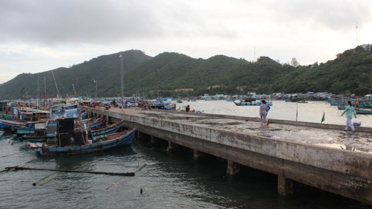 Những điểm nhấn trọng tâm trong Dự án giảm nghèo bền vững vùng bãi ngang ven biển và hải đảo giai đoạn 2016-2020 (29/9/2016)