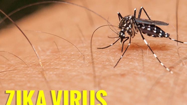 70 quốc gia, vùng lãnh thổ ghi nhận sự lây truyền virus Zika, hôm nay, Bộ Y tế có công văn khẩn  đề nghị các địa phương tăng cường công tác phòng chống dịch bệnh do virus Zika (Thời sự chiều 5/9/2016)