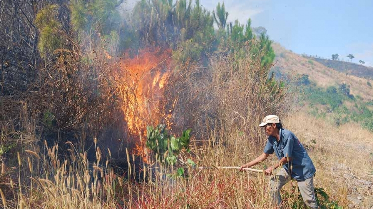 Ngăn chặn điểm nóng cháy rừng” tại địa phương (05/01/2017)