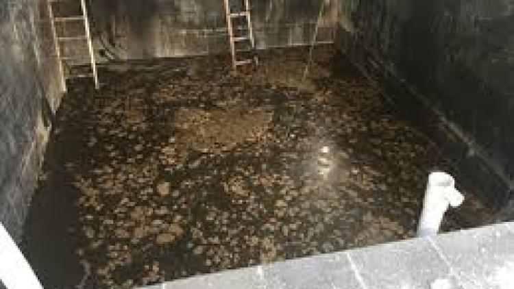 Tỉnh Phú Yên họp báo thông tin chi tiết về vụ 5 công nhân tử vong trong hầm làm nước mắm của Công ty Cổ phần Food Tech (Thời sự chiều 13/01/2017)