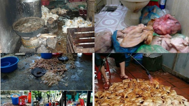 Cục An toàn thực phẩm bổ sung thêm số điện thoại đường dây nóng phản ánh tình trạng thực phẩm bẩn, trực 24/24 giờ (Thời sự trưa 30/01/2017)