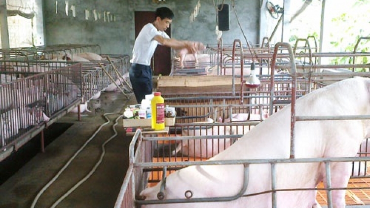 Thay đổi tư duy sản xuất để xây dựng nông thôn mới  (17/10/2017)