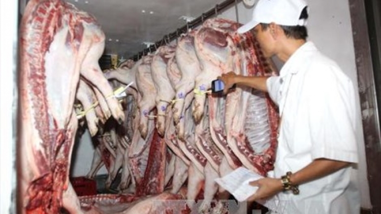 Đề án Quản lý, nhận diện và truy xuất nguồn gốc thịt heo đã thất bại ngay ngày đầu tiên thực hiện tại hai chợ đầu mối nông sản thực phẩm là Hóc Môn và Bình Điền của Thành phố Hồ Chí Minh (Thời sự trưa 16/10/2017)