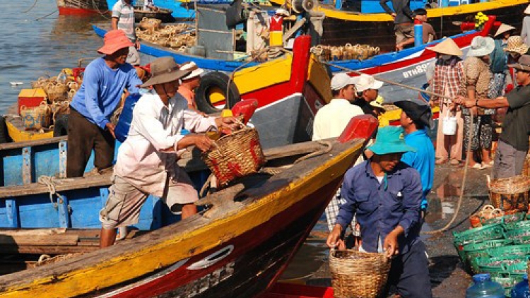 Ninh Thuận: Tín hiệu vui từ khai thác thủy sản (6/10/2017)
