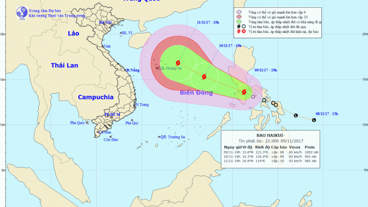 Áp thấp nhiệt đới đã mạnh lên thành bão và có tên quốc tế là Haikui, sức gió mạnh nhất ở vùng gần tâm bão mạnh cấp 8, giật cấp 10 (Thời sự đêm 9/11/2017)