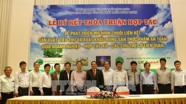Hình thành trung tâm kết nối sản xuất tiêu thụ nông sản từ mô hình chuỗi liên kết (16/11/2017)
