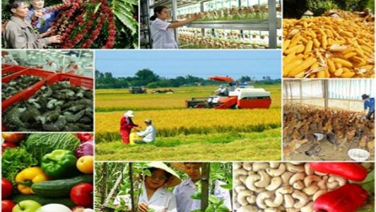 Tín dụng nông nghiệp nông thôn: Điểm nghẽn cần tháo gỡ (17/11/2017)