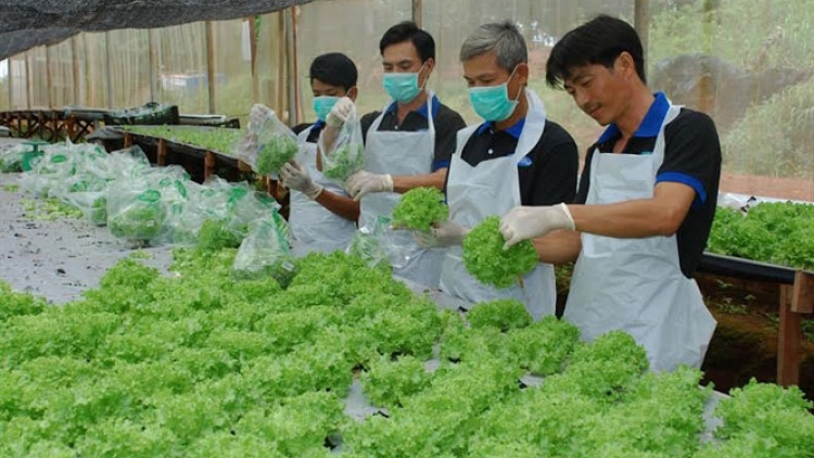 Mở cánh cửa cho nông nghiệp công nghệ cao (10/02/2017)