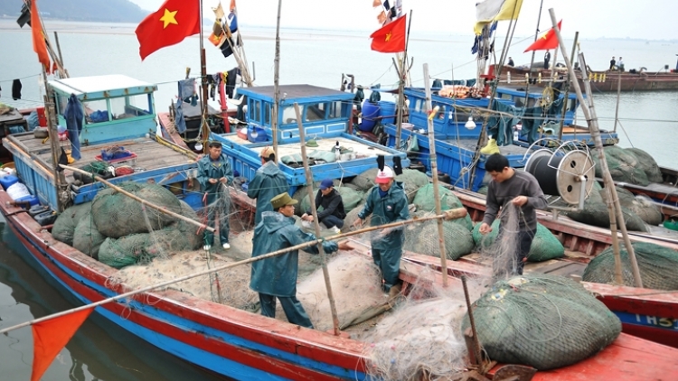 Nâng cao nhận thức, gắn vai trò, trách nhiệm của ngư dân đối với hoạt động bảo vệ nguồn lợi thủy sản (26/2/2017)