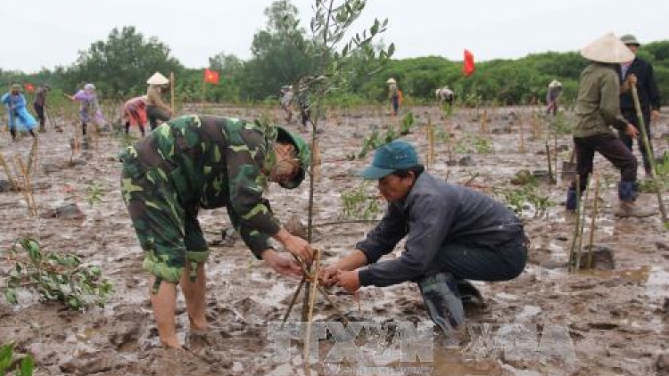 Mít tinh ngày Quốc tế Đất ngập nước với chủ đề "Đất ngập nước giúp giảm nhẹ thiên tai" và phát động chiến dịch trồng cây ngập mặn ven biển để ứng phó với biến đổi khí hậu. (Thời sự chiều 05/02/2017)