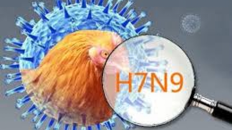 Chủ động phòng chống dịch cúm A/H7N9 ở các tỉnh biên giới (04/3/2017)