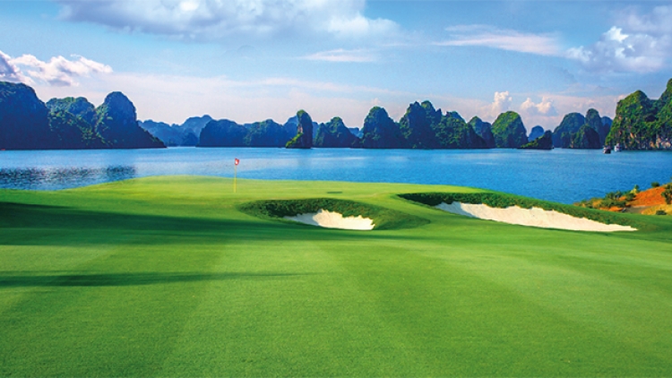 Phó Thủ tướng Trịnh Đình Dũng yêu cầu Uỷ ban nhân dân tỉnh Quảng Ninh dừng việc thi công Dự án FLC Hạ Long để thực hiện việc đánh giá tác động môi trường theo đúng quy định của pháp luật (Thời sự trưa 31/3/2017)