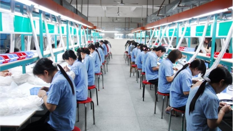 Du học và xuất khẩu lao động (7/4/2017)
