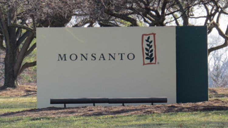 Tòa án Quốc tế kết tội tập đoàn Monsanto hủy diệt môi trường và hệ sinh thái nhiều nước, trong đó có Việt Nam (Thời sự đêm 20/4/2017)